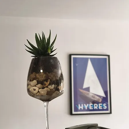 Apartament Rare - Avec Jardin A 350m De La Et Du Port