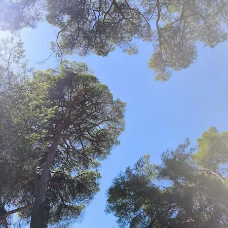 Apartmán Rare - Avec Jardin A 350m De La Et Du Port Hyères