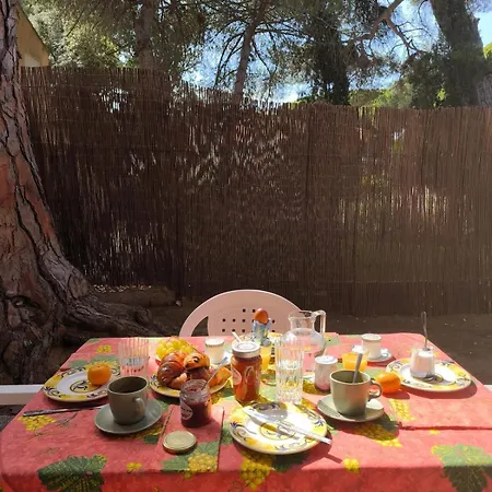 Rare - Avec Jardin A 350m De La Et Du Port Hyeres