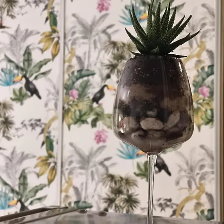 Rare - Avec Jardin A 350m De La Et Du Port Lejlighed *