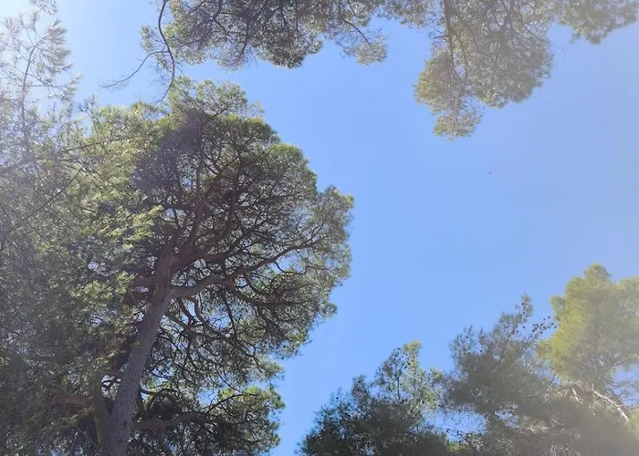 Lejlighed Rare - Avec Jardin A 350m De La Et Du Port Hyères