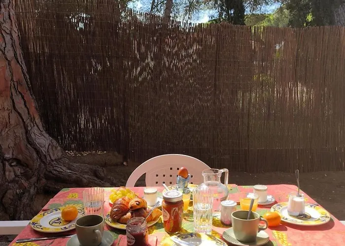 Rare - Avec Jardin A 350m De La Et Du Port Hyères