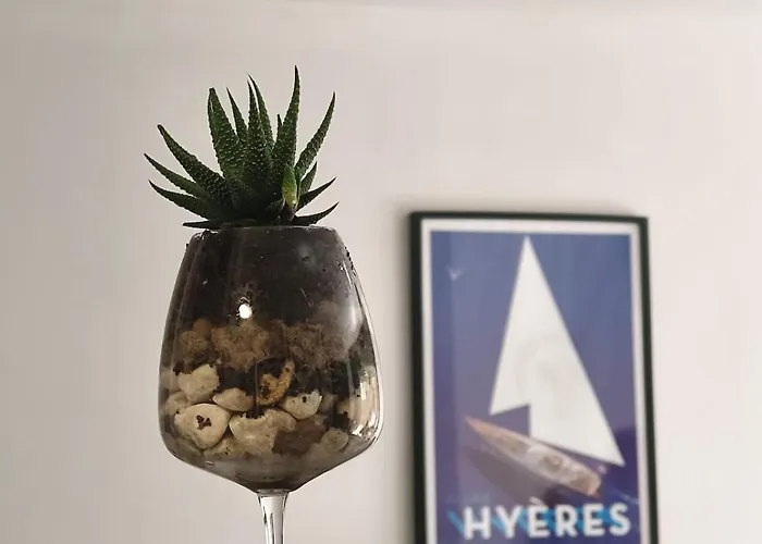 Appartement Rare - Avec Jardin à 350m De La Et Du Port