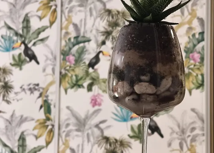 Rare - Avec Jardin A 350m De La Et Du Port Lejlighed *